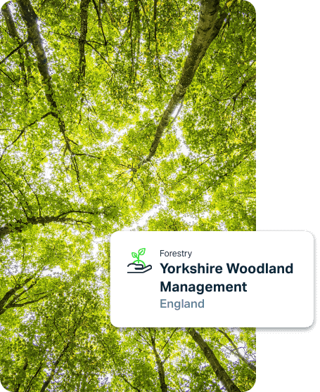 Yorkshire Woodland Management